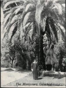 The Missionary Catechist 22 Number 11